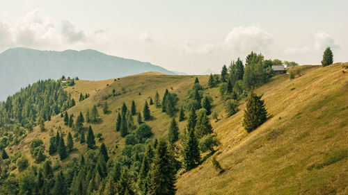 Panoramic view of landscape against sky