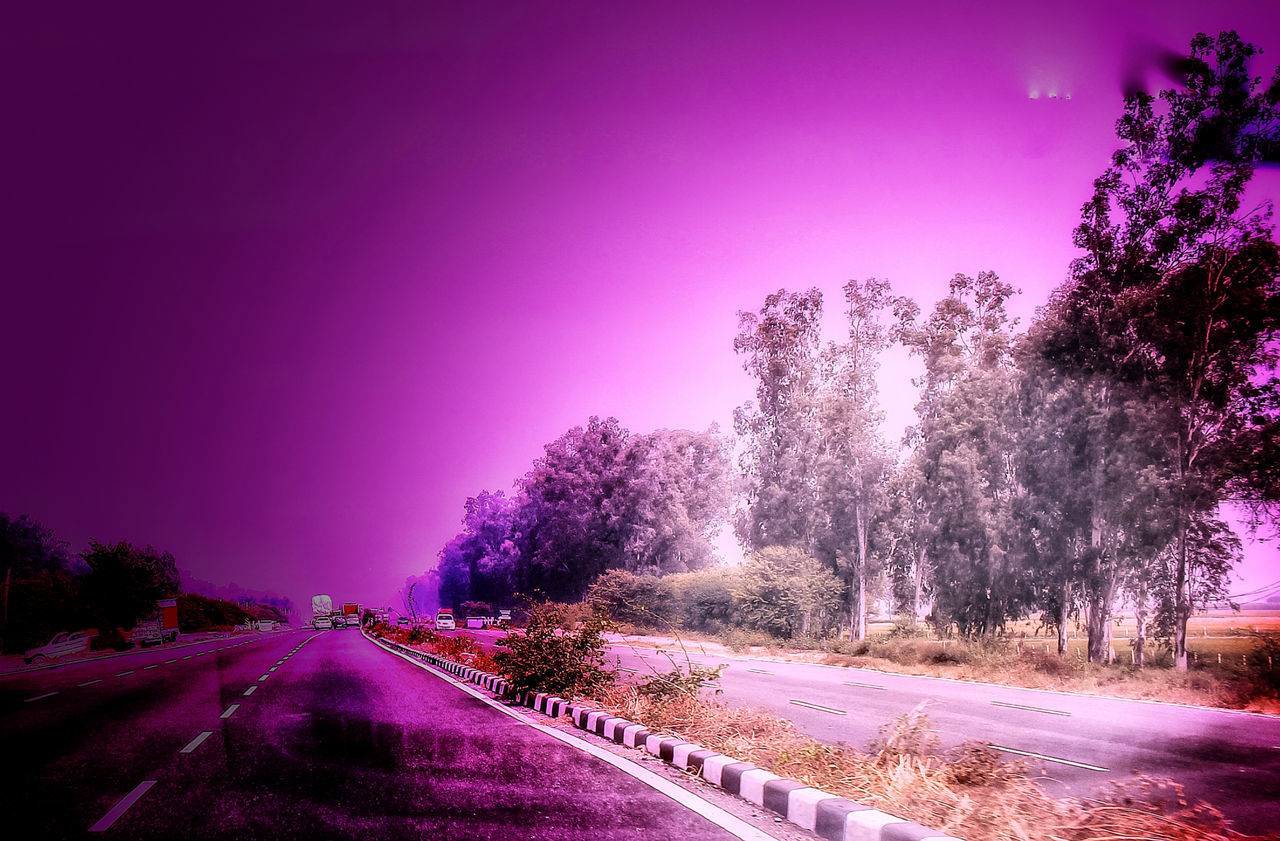 ROAD AMIDST TREES AGAINST SKY DURING NIGHT