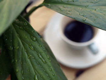 Close-up of wet coffee cup