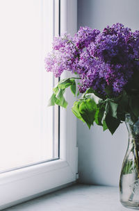 Close-up of flowers on window sill at home