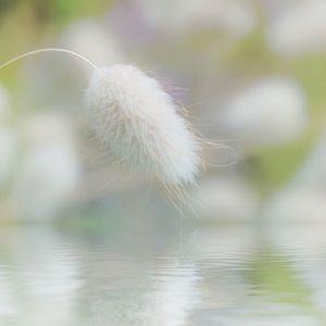 Close-up of water