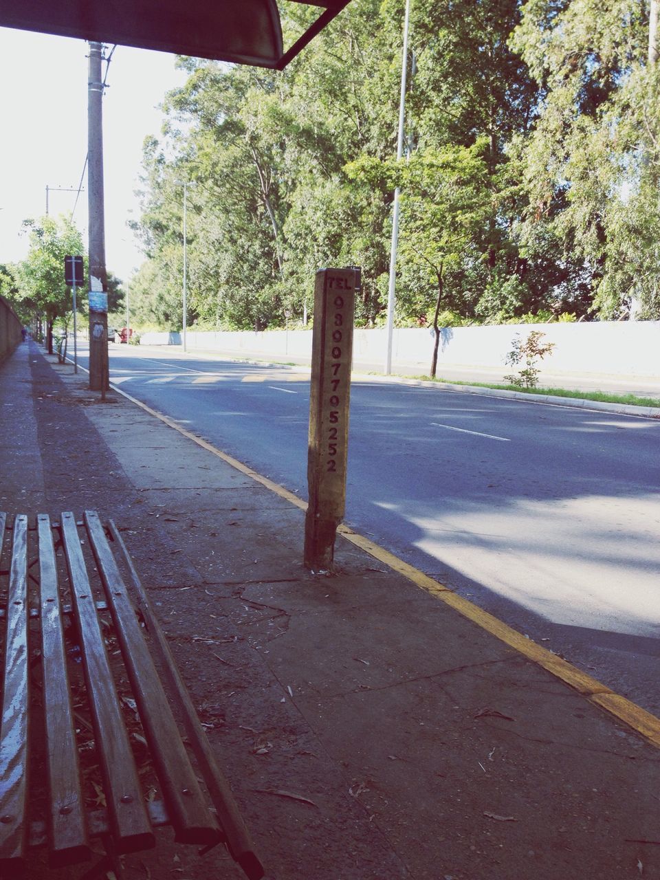 road, transportation, tree, the way forward, road marking, street, road sign, asphalt, empty, sidewalk, empty road, diminishing perspective, day, sunlight, pole, street light, outdoors, no people, shadow, sky