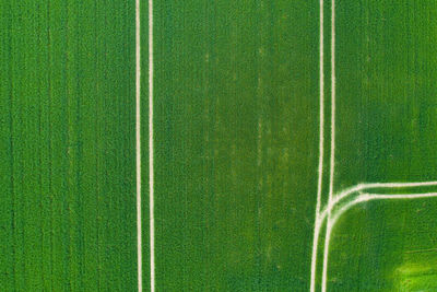 High angle view of plants growing on landscape