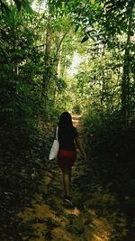 Rear view of woman walking in forest