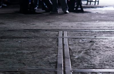 Close-up of tree trunk