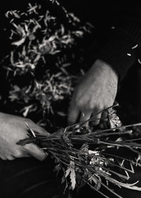 Close-up of hand holding flower