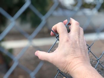 Close-up of hand holding chainlink fence