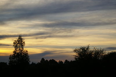 Silhouette trees against sky during sunset