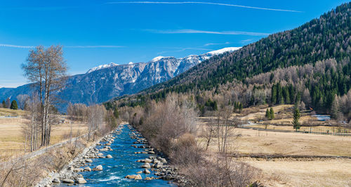 Mountain river surrounded by snow-capped mountains. italian alps, view from pellizzano, italy