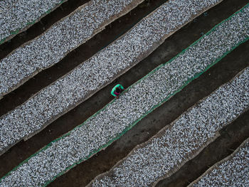 Aerial view of dried fish processing factory