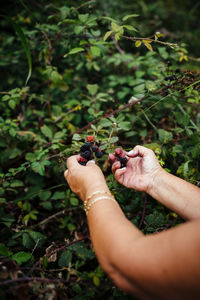 Midsection of person holding plant