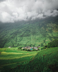 Scenic view of agricultural field with foggy weather 