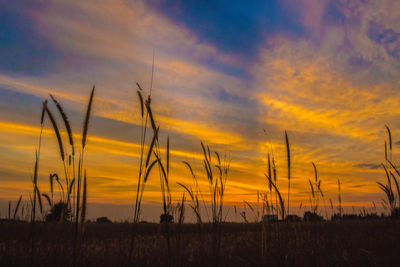 Scenic view of dramatic sky over landscape