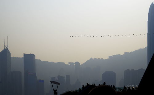 Silhouette birds flying over city against clear sky