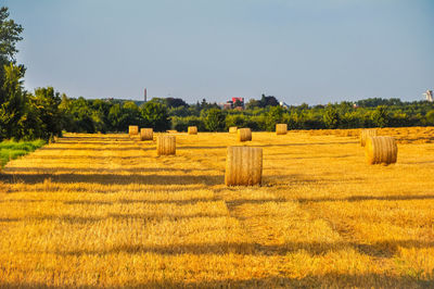 Hay bales on field against sky