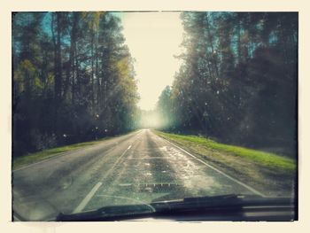 Road passing through forest