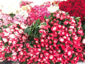 Close-up of pink rose bouquet