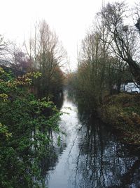 Reflection of trees in lake against sky
