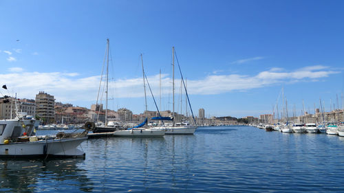 Sailboats moored at harbor against sky