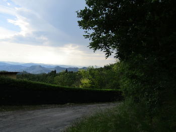 Scenic view of trees on field against sky