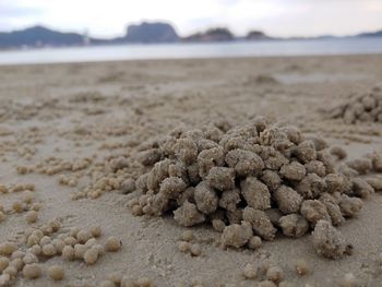 Close-up of sand at beach