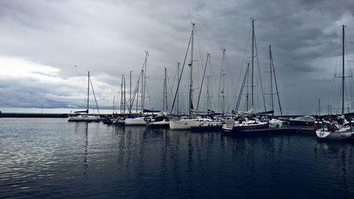 Sailboats in marina