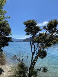 Scenic view of sea against blue sky