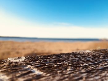 Surface level of wood on beach against sky