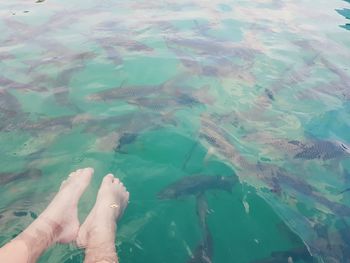 Low section of person swimming in sea