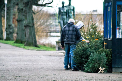 People looking at christmas tree for sale
