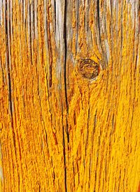 Full frame shot of tree trunk