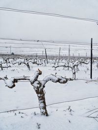 Snow covered field against sky