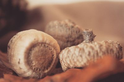 Close-up of food on table