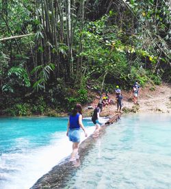 People enjoying in river against trees in forest