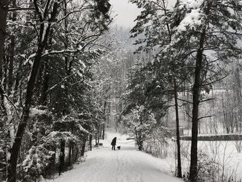 Rear view of man walking on snow covered landscape