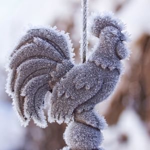 Close-up of frozen during winter