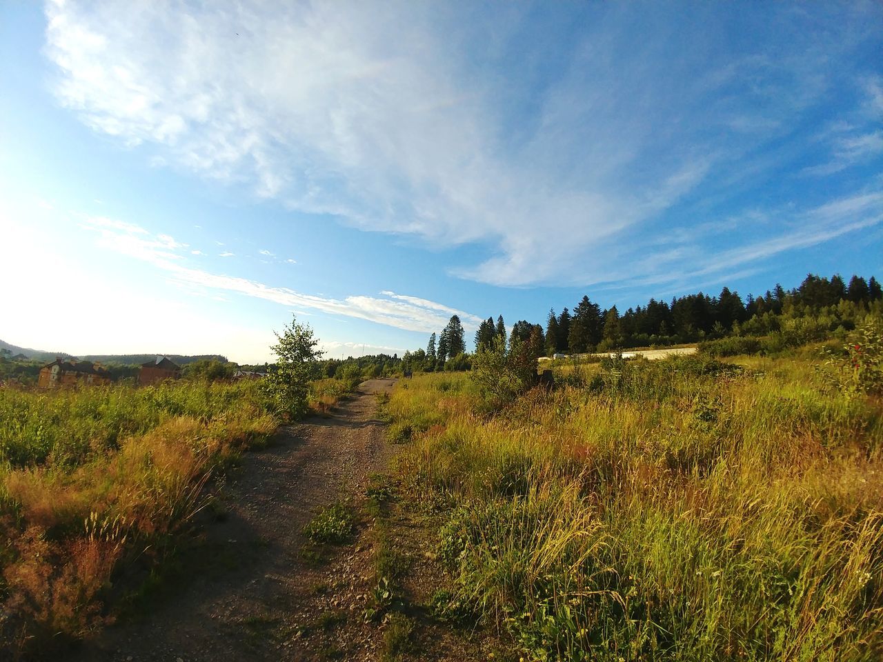 sky, landscape, environment, grass, plant, cloud - sky, land, nature, no people, tranquil scene, field, direction, tranquility, non-urban scene, dirt road, day, road, scenics - nature, the way forward, beauty in nature, outdoors, trail