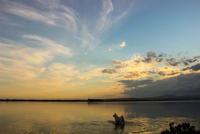 Scenic view of lake at sunset