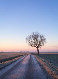 Road amidst bare trees on field against sky at sunset