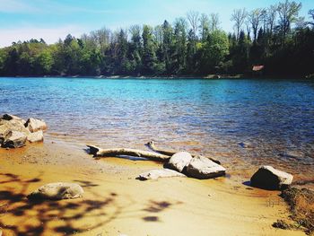 Scenic view of beach