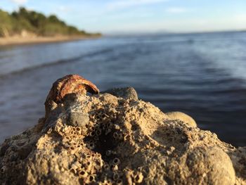 Close-up of rocks on beach