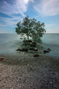 Scenic view of sea against sky