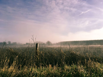 Scenic view of field against sky