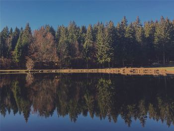 Scenic view of lake in forest against clear sky