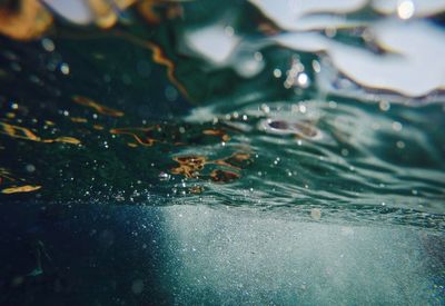 Close-up of bubbles in sea