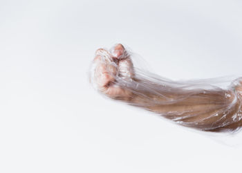 Close-up of a lizard over white background