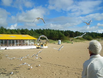 View of bird on beach against sky