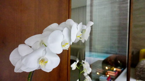 Close-up of white flower vase on table at home