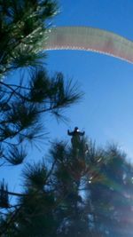 Low angle view of palm trees against blue sky