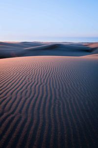 Sand dune in desert against sky